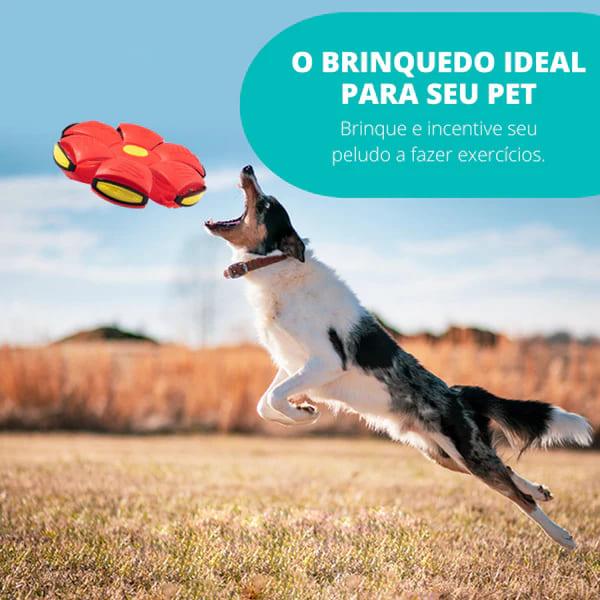 Brinquedo Voador para Cães com Função 2 em 1, Brinquedo Voador para Cães, Brinquedo para Cães, Brinquedo Para Cachorro, Bola disco voador de brinquedo para pet, bola maluca para cachorro